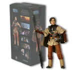 Sideshow: Princess Leia as Boushh (Heroes of the Rebelion)